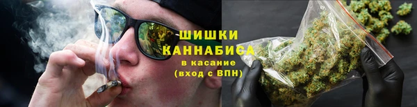 PSILOCYBIN Заволжье