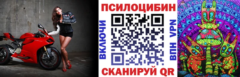 Псилоцибиновые грибы мицелий  Купить где  Калач-на-Дону 